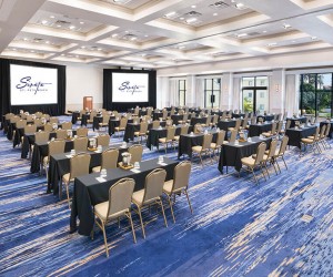 Majestic Palm Classroom 