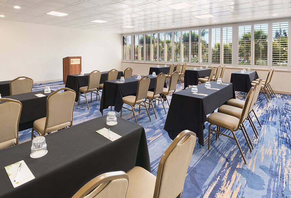 Mediterranean Palm Classroom