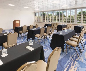 Mediterranean Palm Classroom