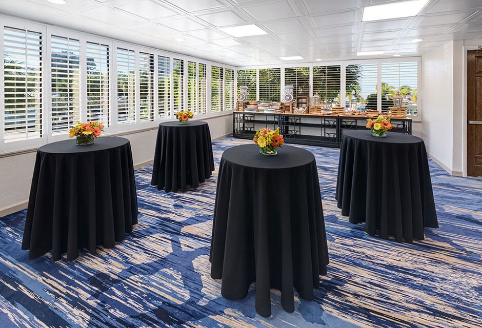 Mediterranean Palm Corporate breakout room