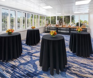 Mediterranean Palm Corporate breakout room