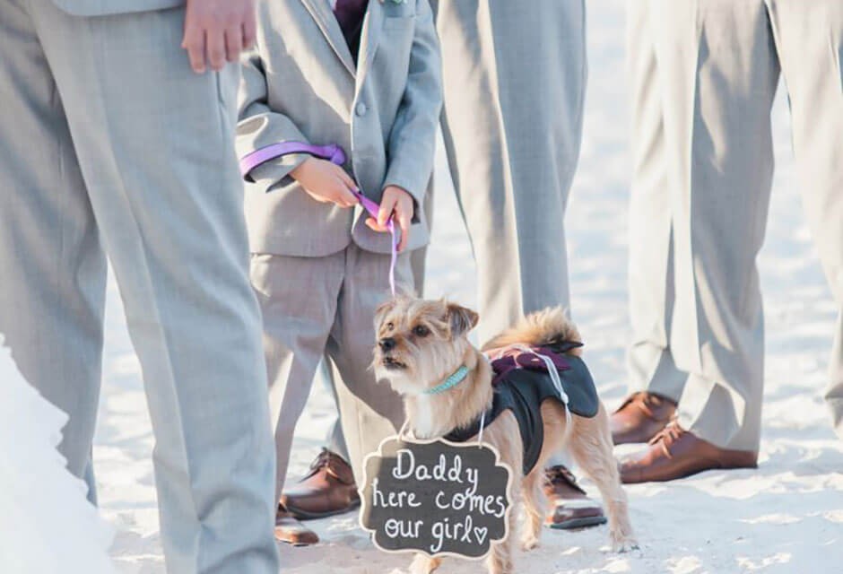 Sirata Beach Resort wedding