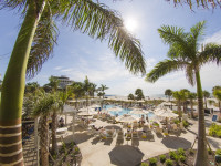 sunshine, palm trees and the sirata pool